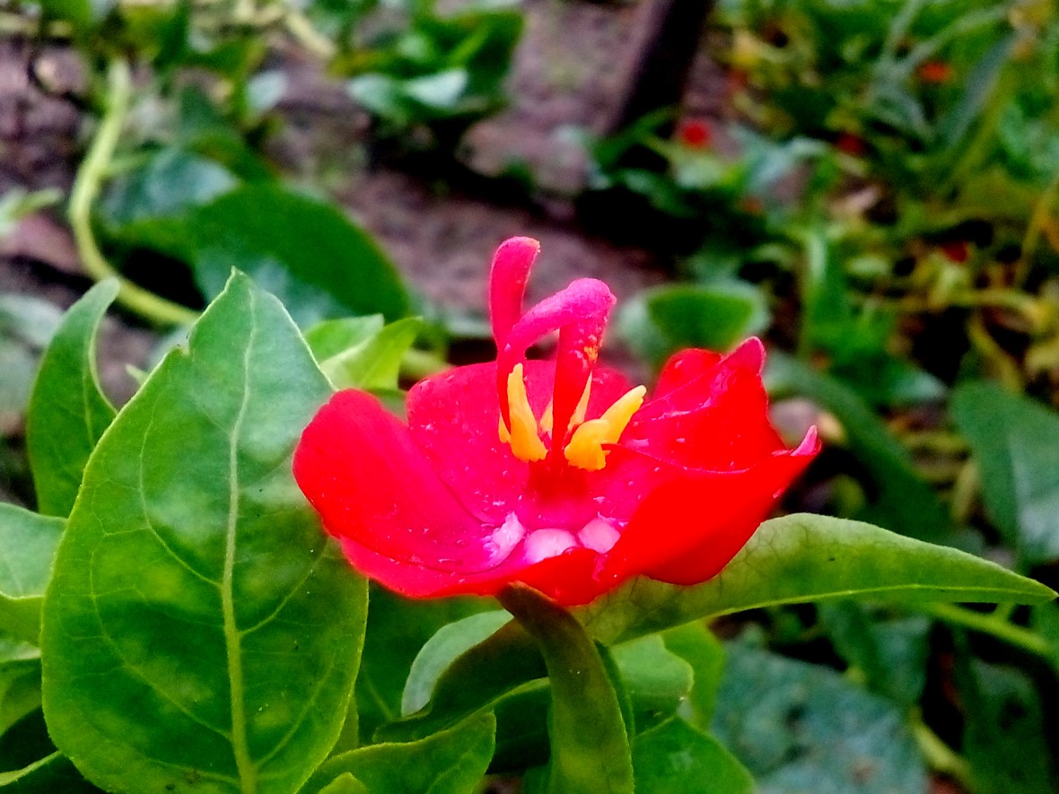 photography world